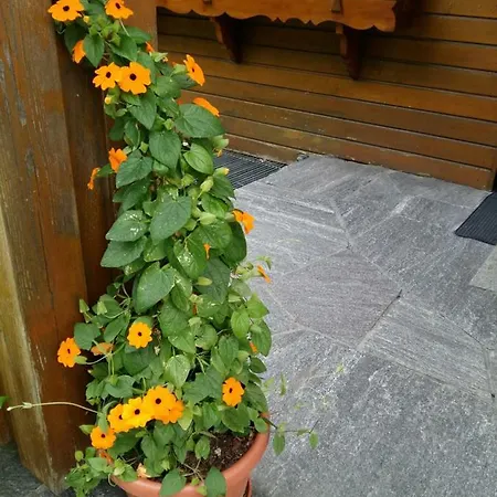 Apartmán Ferienwohnung Barbara Sankt Gallenkirch